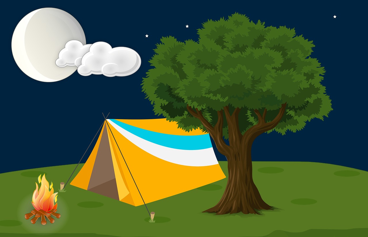 forest, camp, tree-4127648.jpg